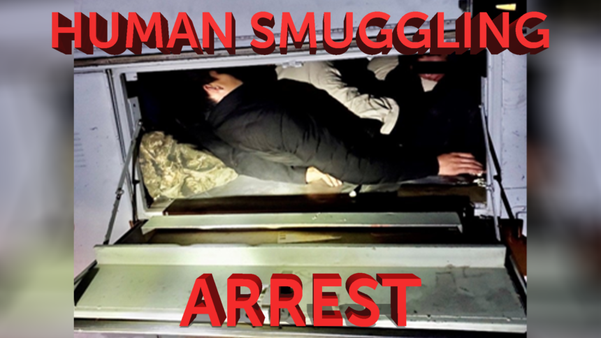 1-17-HUMAN-SMUGGLING-GFX