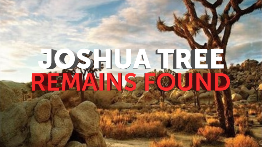 1-20-JOSHUA-TREE-REMAINS-FOUND-GFX