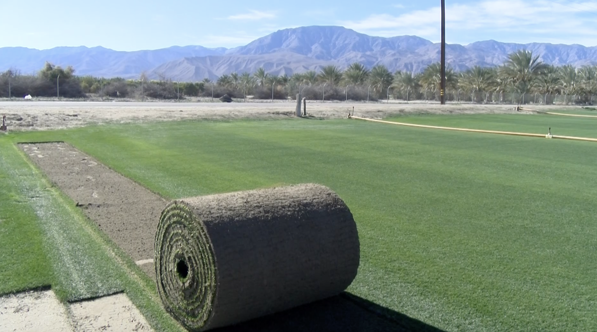 Groundskeeper: Levi's Stadium turf 'second-best' in Super Bowl