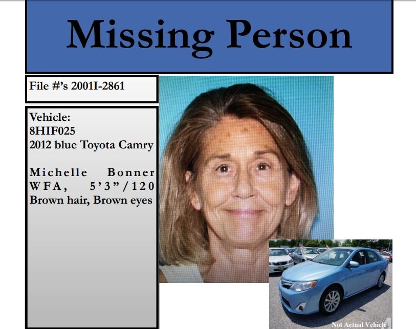 missing woman 2
