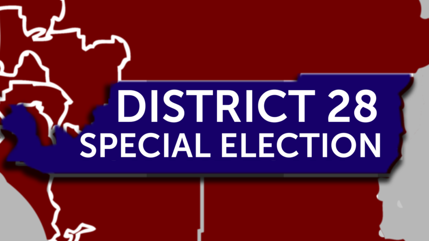 11-15-DISTRICT-28-SPECIAL ELECTION