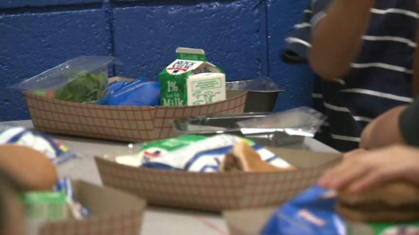 school lunches