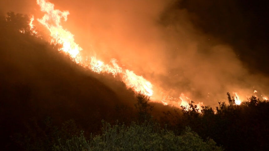 9-9-2020 El Dorado Fir- Angeles Oaks 10