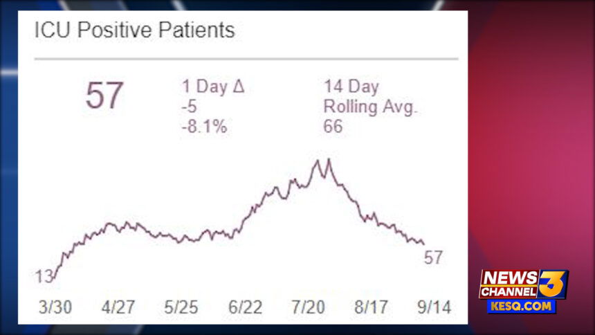 rivco icu aff