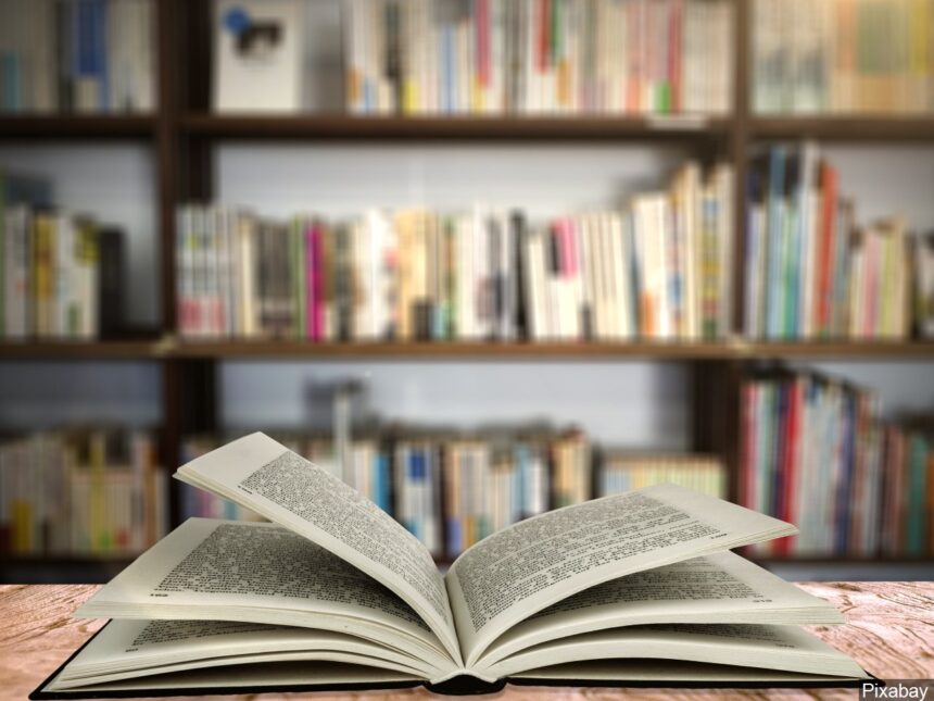 Library_MGN image