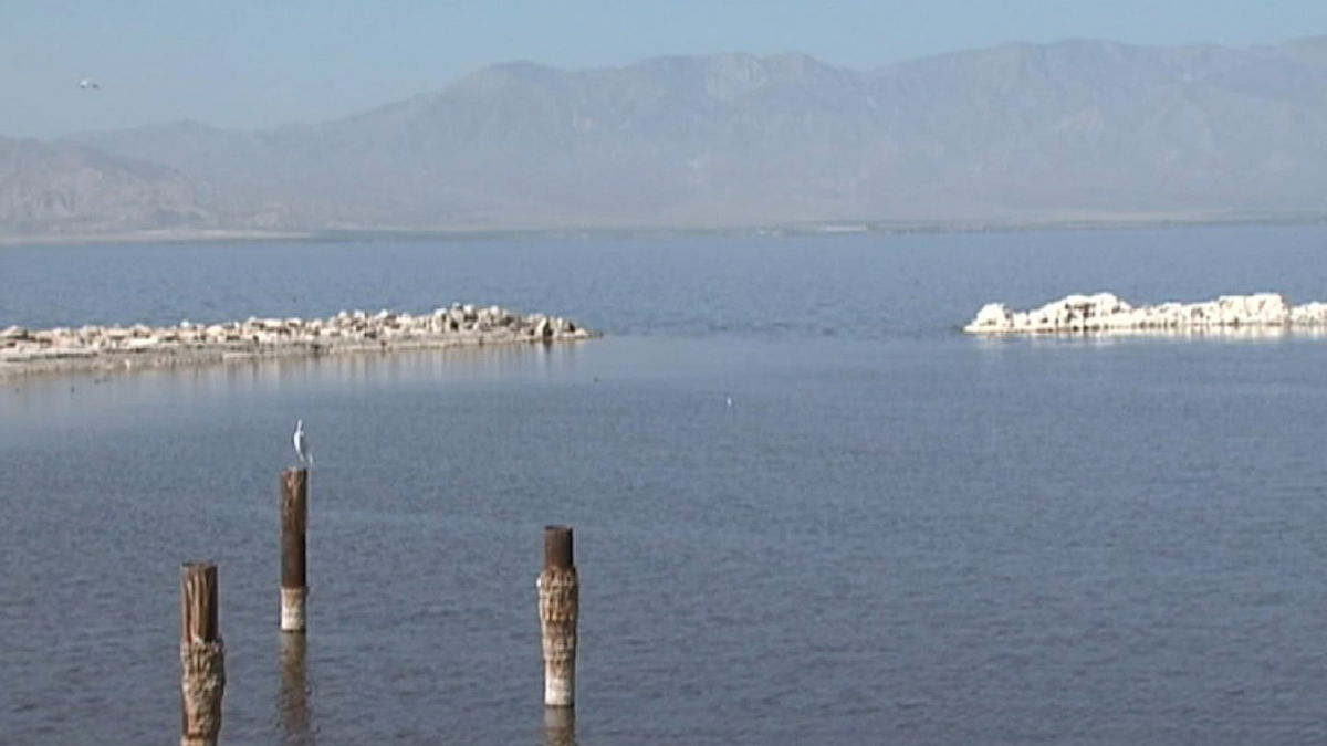 The Salton Sea