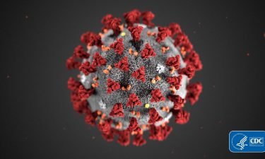 The CDC's model of the coronavirus is shown here. The CDC says fully vaccinated people are less likely than unvaccinated people to become infected with the coronavirus.