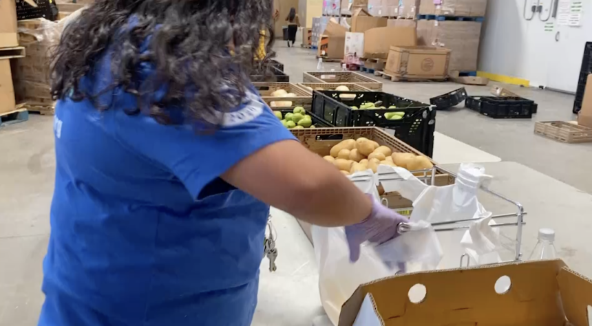 find-food-bank-paves-the-way-for-interns-to-learn-behind-the-scenes