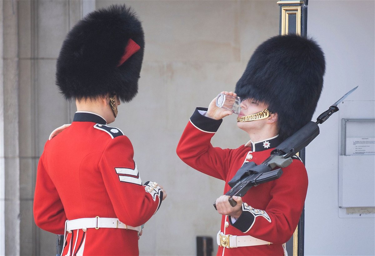 <i>Peter MacDiarmid/Shutterstock</i><br/>A member of the Coldstream Guards