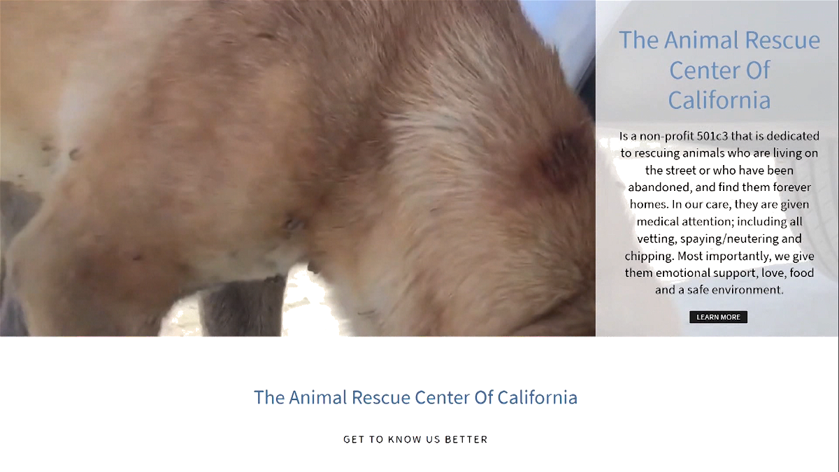 A new non-profit Animal Rescue Center of California discuss their focus of  rescuing animals in the East Valley - KESQ