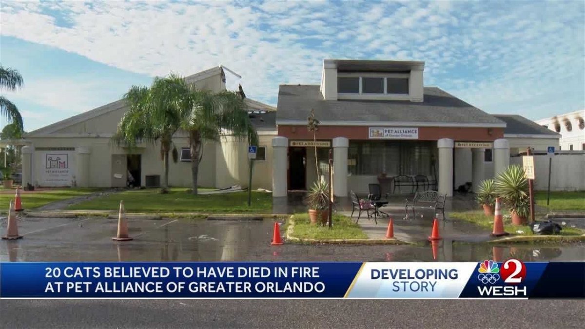<i>WESH</i><br/>Fire rescue crews battled heavy flames at the Pet Alliance of Greater Orlando. Multiple animals died