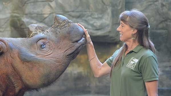 <i>Cincinnati Zoo/WLWT</i><br/>The Cincinnati Zoo is forming a team of rhinoceros experts to help save the species.