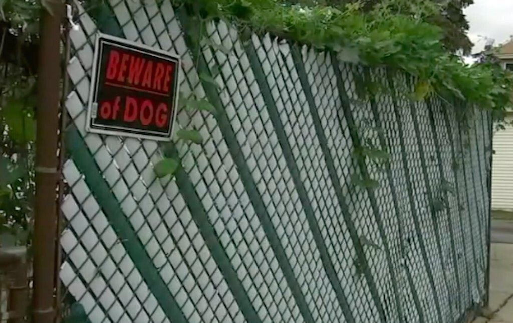 <i>WLS</i><br/>Two dogs at the center of a series of suburban dog attacks were euthanized following the latest attack in Elmwood Park.