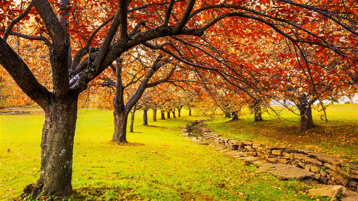 <i>Shutterstock</i><br/>Autumn in Hurd Park