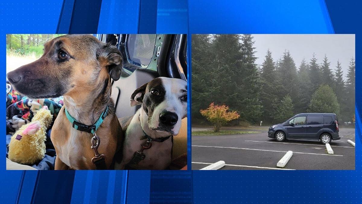 <i>Portland Police/KTPV</i><br/>Two dogs inside a stolen van disappeared on October 17 iin Portland