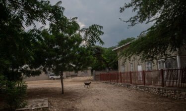 A goat stands in the courtyard of the Maison La Providence de Dieu orphanage it Ganthier
