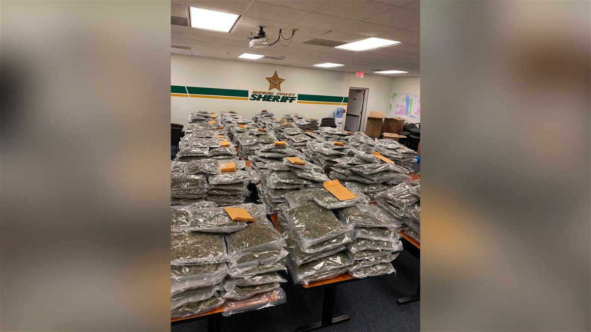 <i>Brevard County Sheriff's Office</i><br/>The Brevard County Sheriff's Office in Florida is looking to reunite $2 million worth of marijuana with its rightful owner