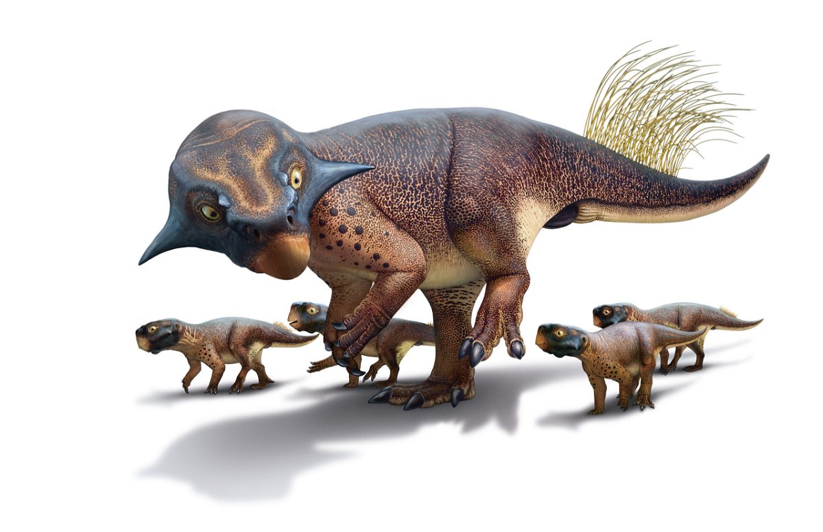 Stunning paleoart shows what dinosaurs really looked like - KESQ