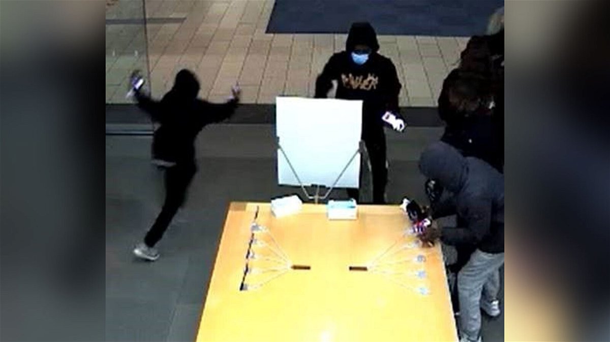 14 people robbed a Louis Vuitton store of at least $100,000 in merchandise,  police say