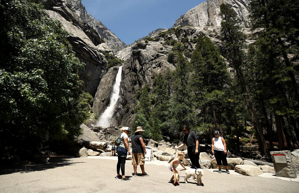 are dogs allowed in yosemite campgrounds