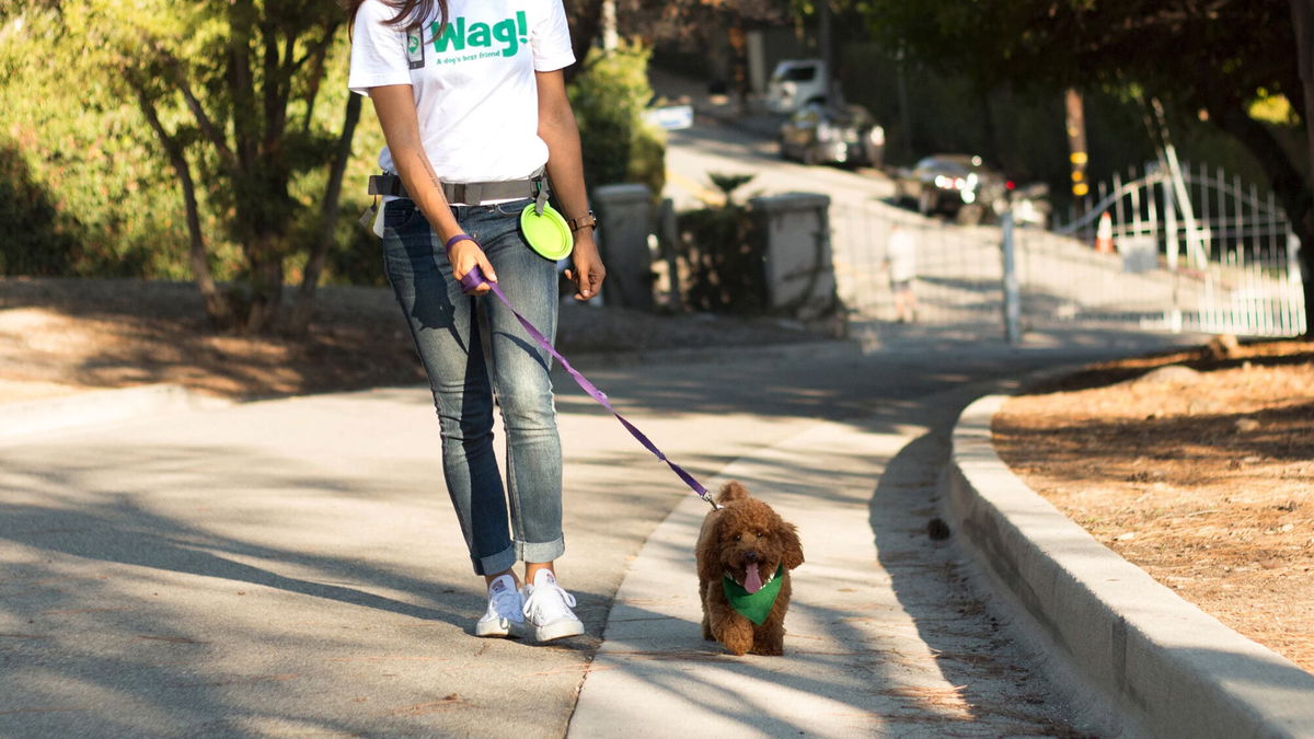 how much can you make on wag dog walking