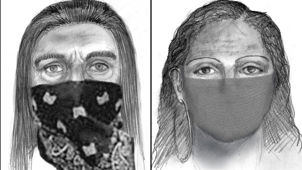 <i>AP licensed</i><br/>Two sketches released by the FBI were based on Papini's description of her alleged abductors.