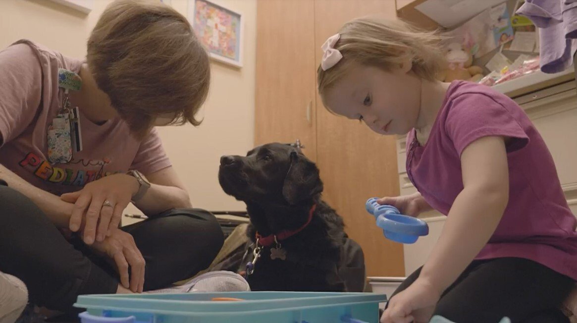 Odin the service dog brings comfort to children's cancer center - KESQ