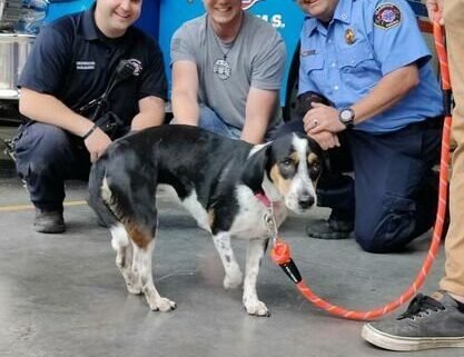 Dog meets the firefighters who pulled her from a burning house.