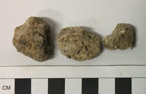 Ancient human poop was unearthed from Durrington Walls