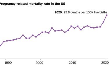 Rates of pregnancy-related deaths in the US are the highest in the developed world and have risen steadily over time