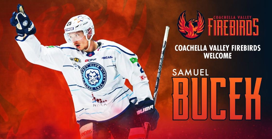 AHL: Firebirds Rise up Over Coachella Valley, Take the Ice in 2022