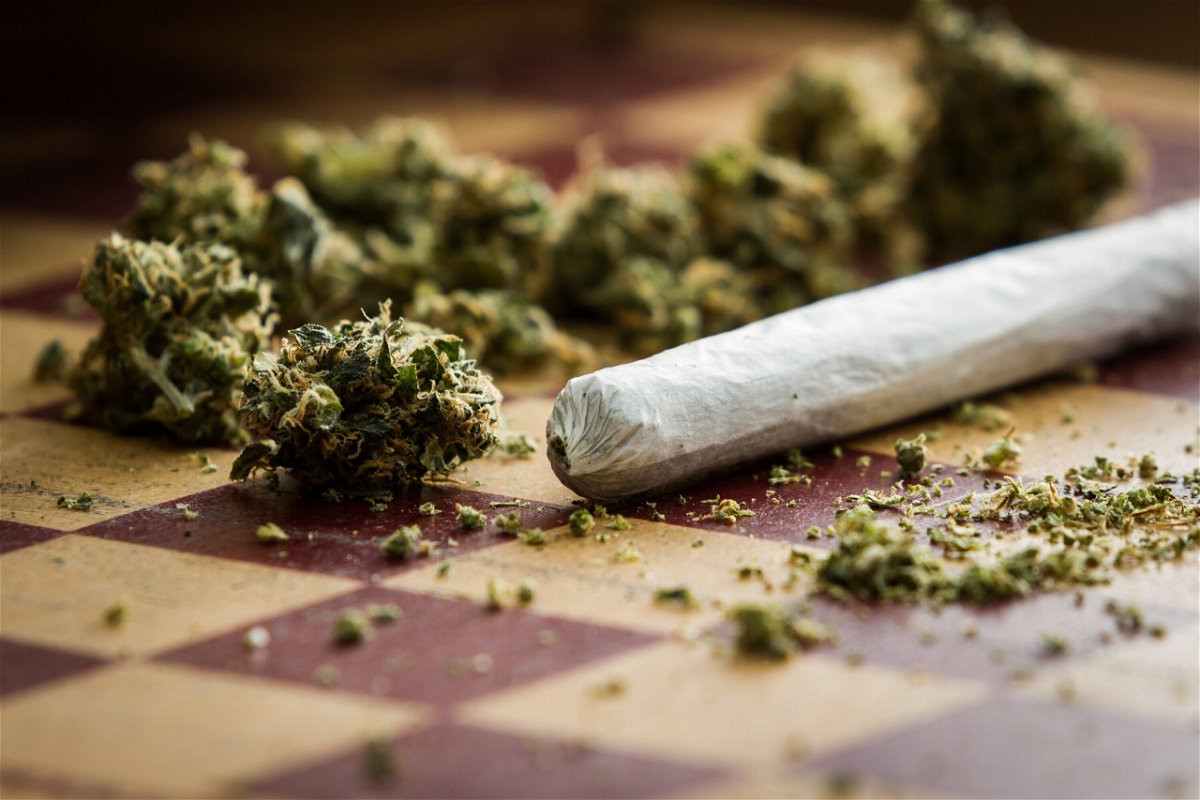 Highly potent weed creating marijuana addicts worldwide, study says - KESQ
