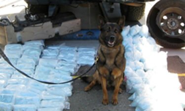 A U.S Border Patrol K-9 alerted agents to a vehicle they said was smuggling more than 200 pounds of fentanyl.