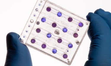BioSentinel's microfluidics card will help scientists study the impact of interplanetary space radiation on yeast.