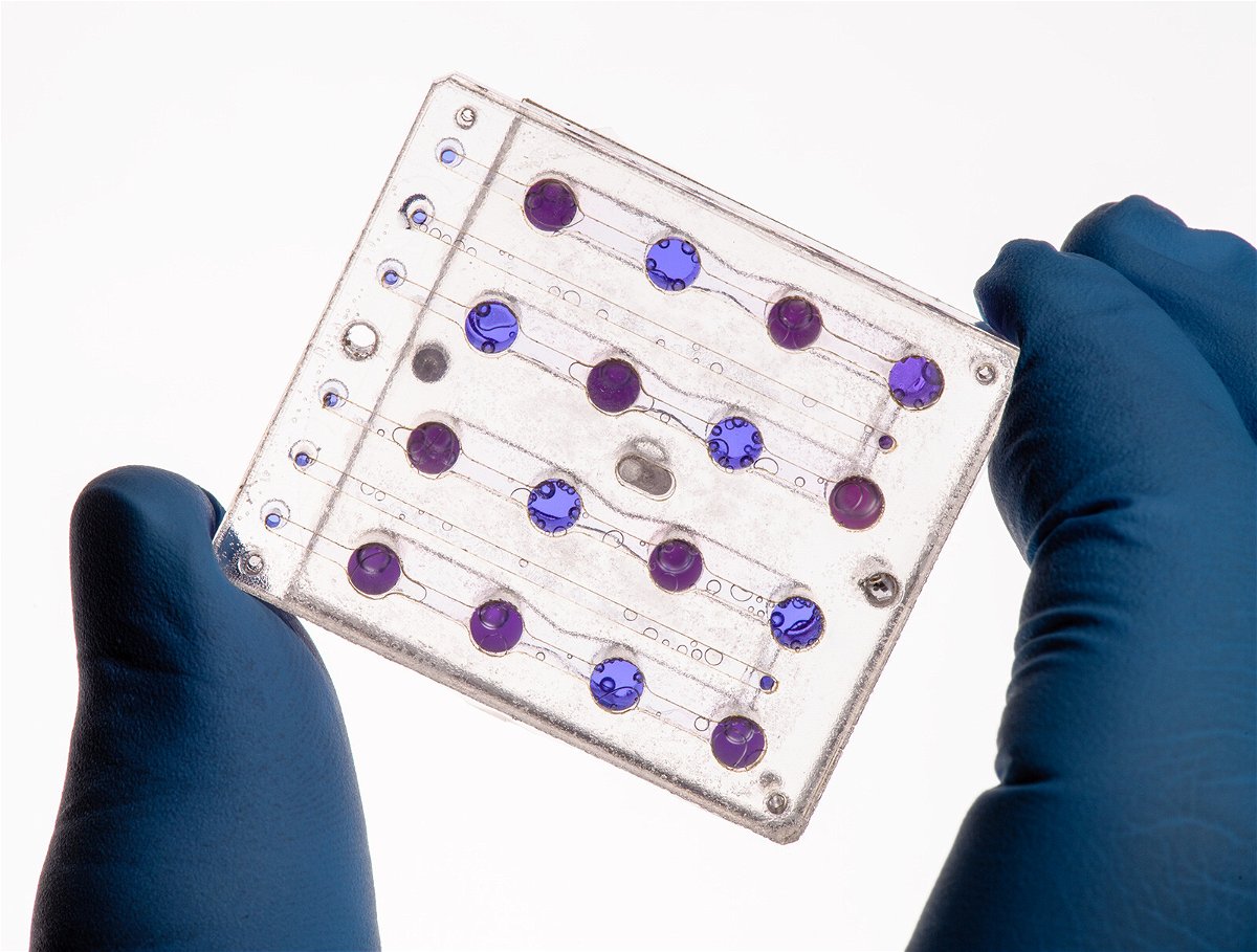 <i>Dominic Hart/NASA</i><br/>BioSentinel's microfluidics card will help scientists study the impact of interplanetary space radiation on yeast.