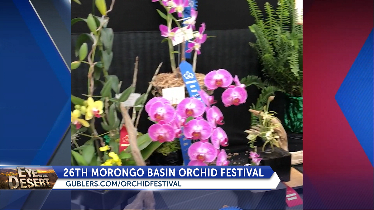 The 26th annual Orchid Festival coming to the Morongo Basin on October