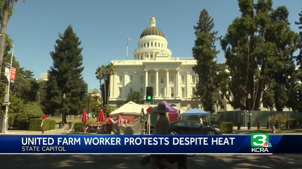 <i>KCRA</i><br/>The United Farm Workers (UFW) and their supporters are on day seven of their 24-hour vigil at the State Capitol.