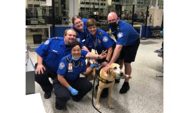 Just weeks after winning TSA's "cutest canine" competition