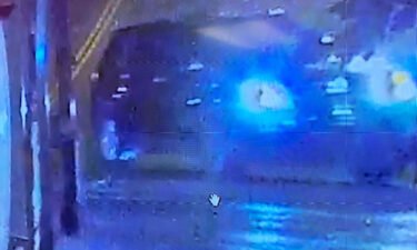 Memphis police released a photo of this mid-size dark SUV they said was used in the abduction of teacher Eliza "Liza" Fletcher.