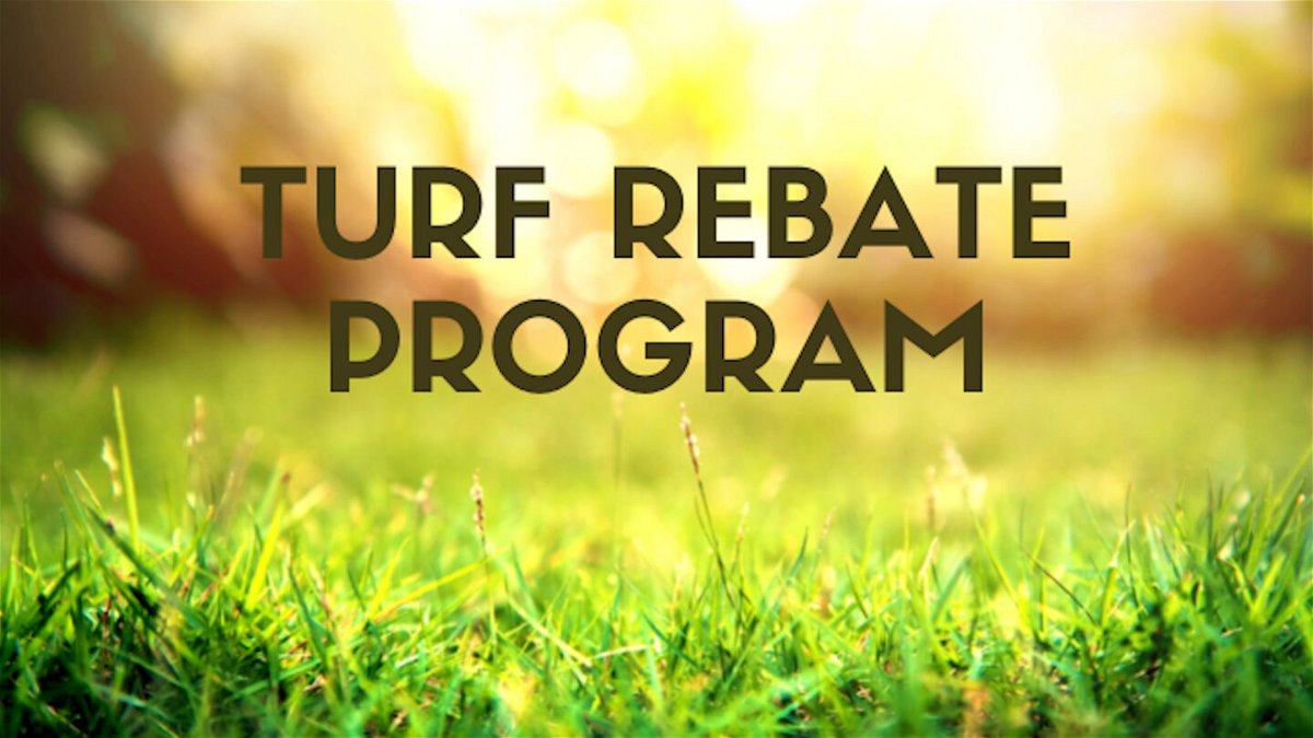 palm-desert-allocates-1-million-for-new-turf-rebate-program-in-support-of-water-conservation-kesq