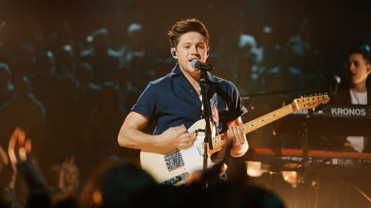 niall horan guitar take me home tour