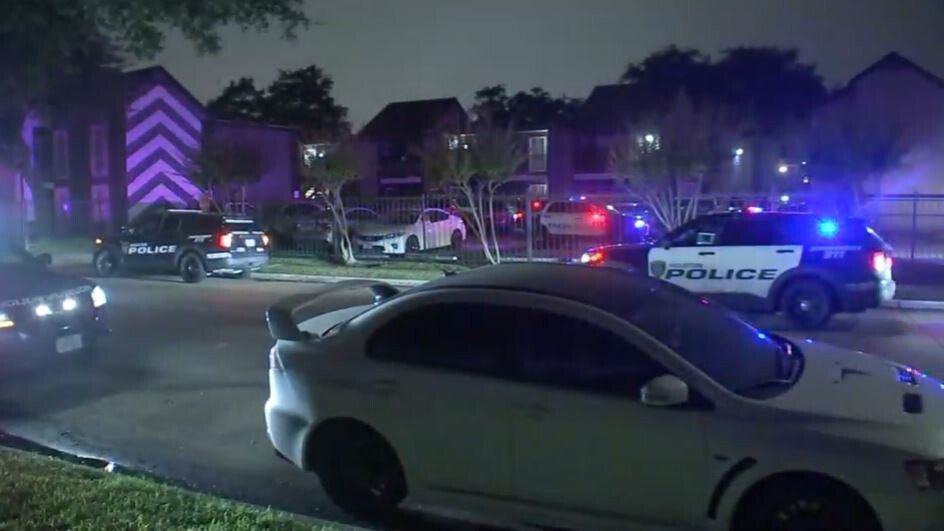 <i>KTRK</i><br/>2 teenage relatives were shot and killed on Thursday while getting Thanksgiving groceries from the car in west Houston.