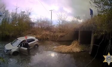 Deputies and a Good Samaritan help rescue an 81-year-old man from icy creek.