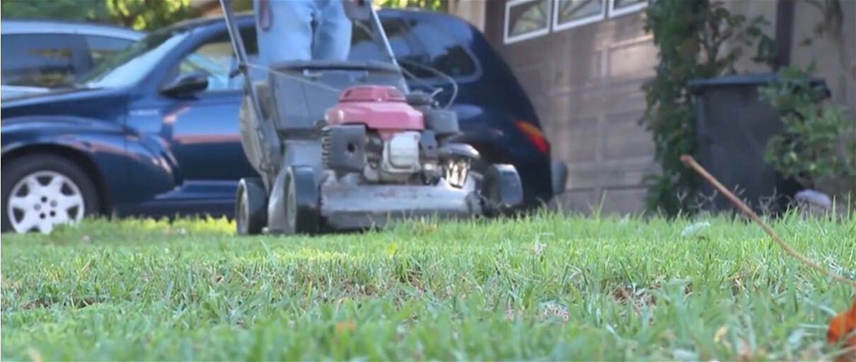 Cities can ban turf grass