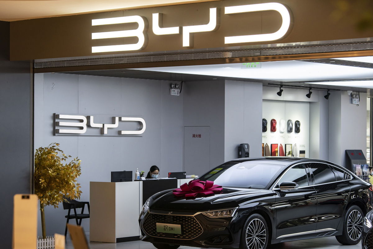 Byd warren store