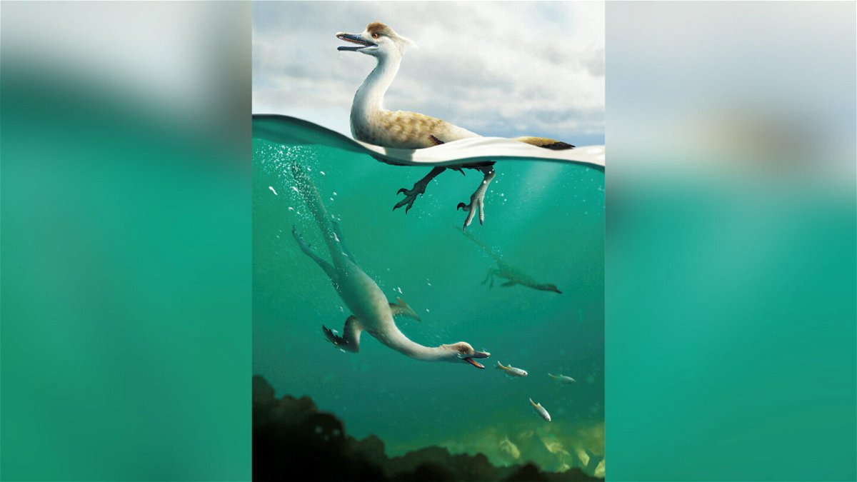 <i>Yusik Choi/Handout/Reuters</i><br/>An artist's life reconstruction of the bird-like Cretaceous Period dinosaur Natovenator polydontus