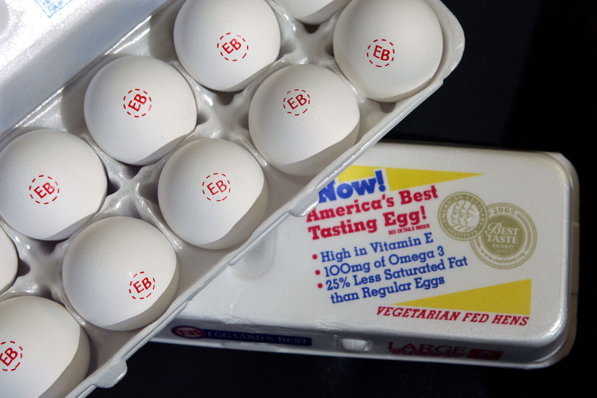 Why egg prices are sizzling — up 38% on last year - MarketWatch