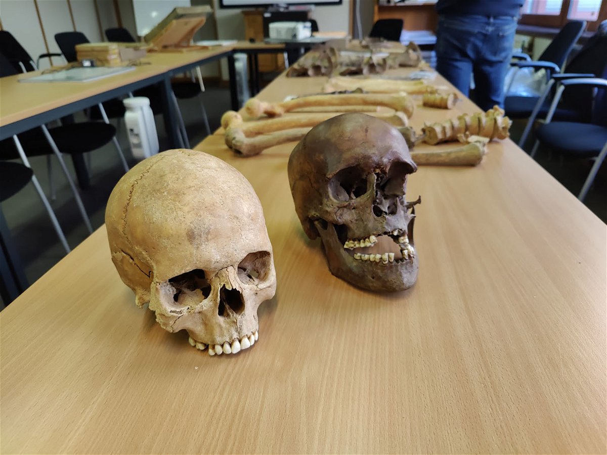 <i>Courtesy Bernard Wilkin/AWAP</i><br/>Two skulls were among the human remains discovered in the Belgian attic. They displayed signs of extreme violence.