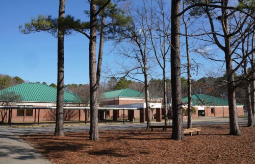 Tall pine trees are pictured outside Richneck Elementary School on January 7 in Newport News