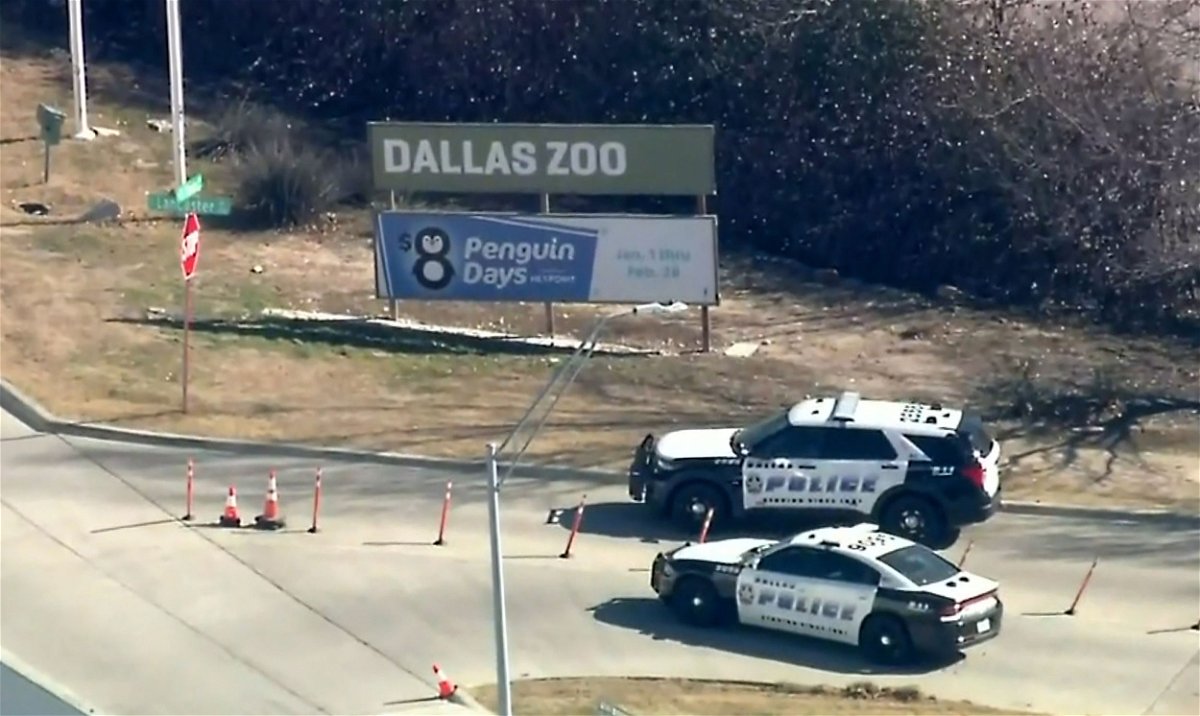 <i>KTVT</i><br/>The Dallas Zoo says the Dallas Police Department is on site and assisting with the search for the big cat.